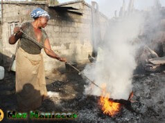 Custo de Vida em Moçambique Assadora de castanha