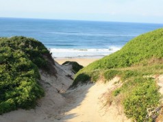 Chidenguele – Viagem Por Moçambique