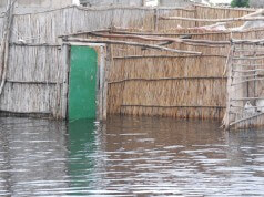 Herança das Cheias em Maputo e Chockwè (Fotos)