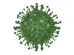 Eu, a gripe e ‘MARIA’