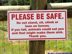 Símbolos Engraçados Pelo Mundo