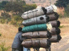 Moçambique de Bicicleta (30 Fotos)