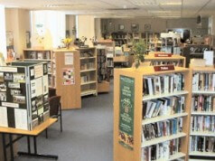 Amor Por Detrás das Estantes da Biblioteca