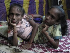 Conheça Ganga e Jamuna, As Irmãs-Aranha