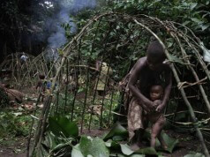 Fotos dos Pigmeus da Floresta de Ituri