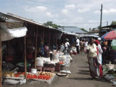 Uma viagem pelo Mercado da Malanga