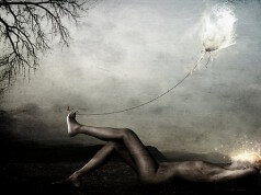 Na minha nobre coerência…