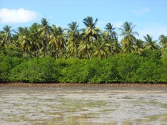 Mucucune: visitar Inhambane com o paladar apurado