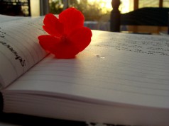 Autopsicografia moderna