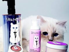 Conheça a gata mais rica do mundo