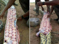 Você Não Vai Acreditar No Que Aconteceu Aqui