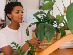 Plantas fáceis de cuidar em casa