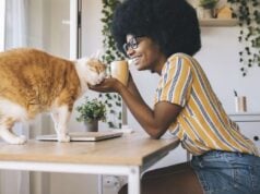 Raças de gatos mais fofinhas para ter em casa