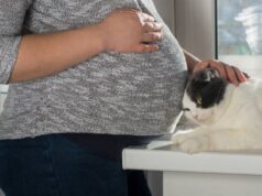 Cuidados que mulheres grávidas com toxoplasmose devem ter