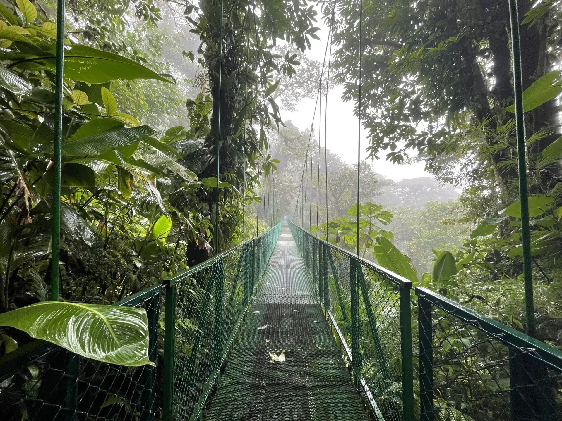 Monteverde, Costa Rica