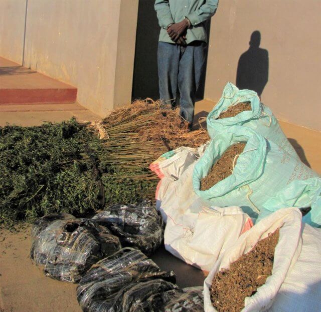 PRM detém jovem em Nampula na posse de 20 kg de soruma