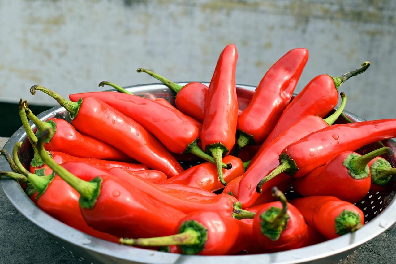 Pimenta vermelha
