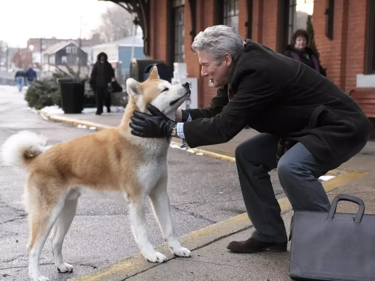 Sempre ao Seu Lado (Hachi: A Dog's Tale)