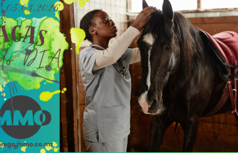 Vagas de emprego do dia 05 de Março de 2026