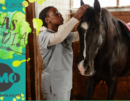 Vagas de emprego do dia 05 de Março de 2026