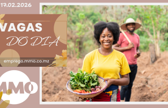 Vagas de emprego do dia 17 de Fevereiro de 2026