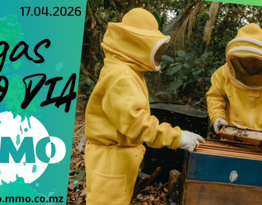 Vagas de emprego do dia 17 de Abril de 2026