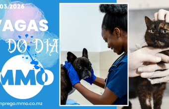 Vagas de emprego do dia 24 de Março de 2026