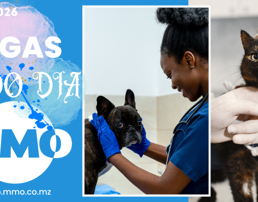 Vagas de emprego do dia 24 de Março de 2026