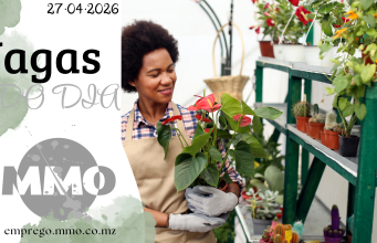 Vagas de emprego do dia 27 de Abril de 2026